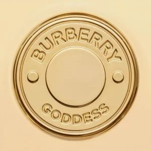 Burberry Goddess Eau De Toilette 100ml - Image 4