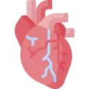 Cardiovascular