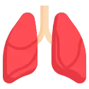 Respiratory